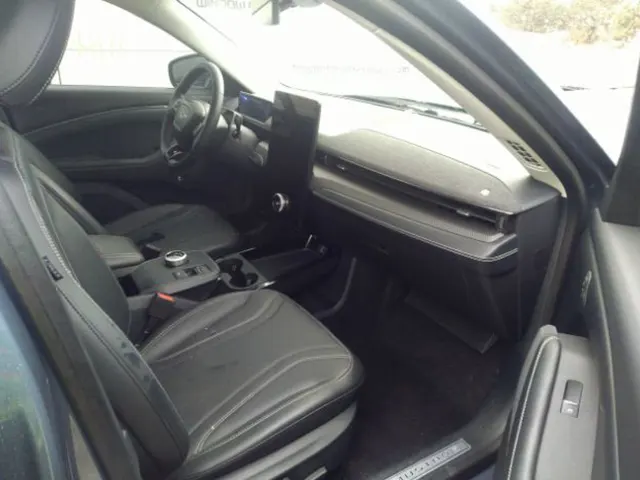 Ford Mustang Mach-E 2021