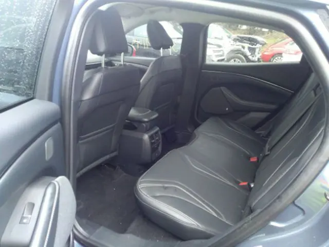 Ford Mustang Mach-E 2021