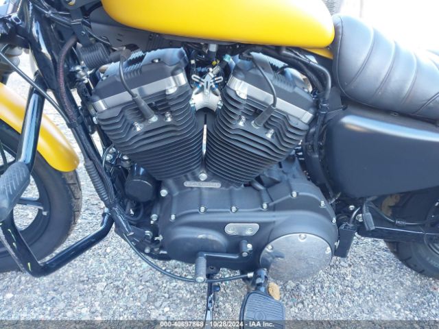 Harley Davidson XL883 2019