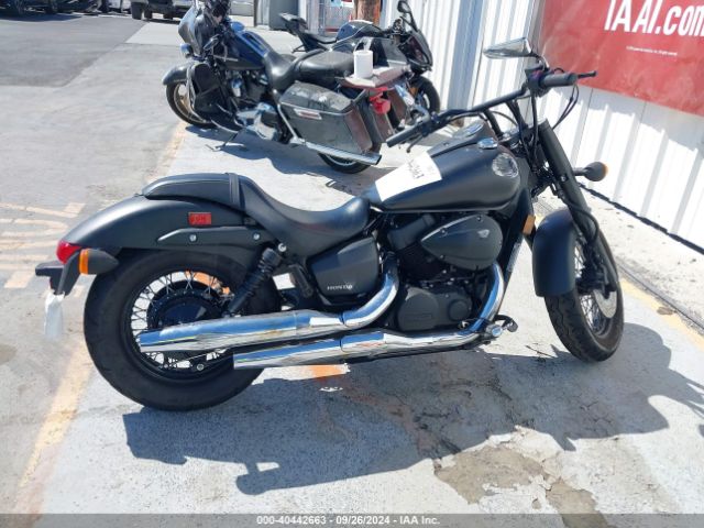 Honda VT750 2023