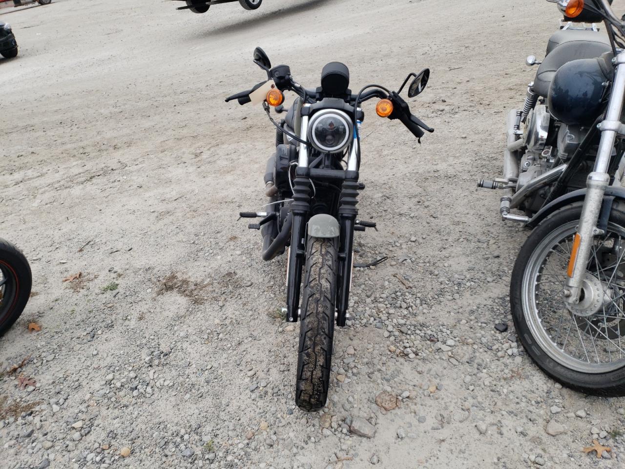 Harley Davidson XL883 2021