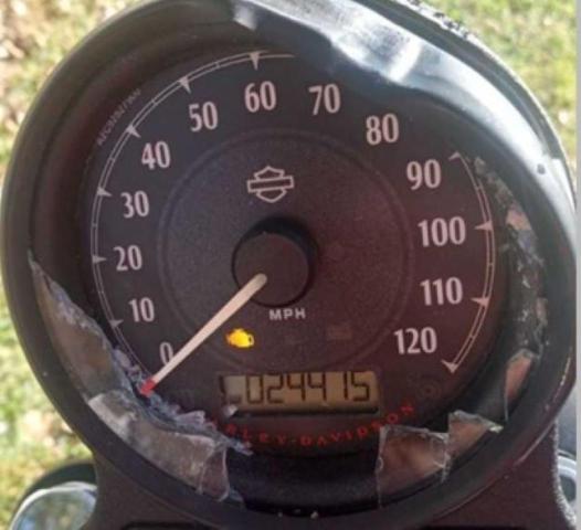 Harley Davidson XL883 2021