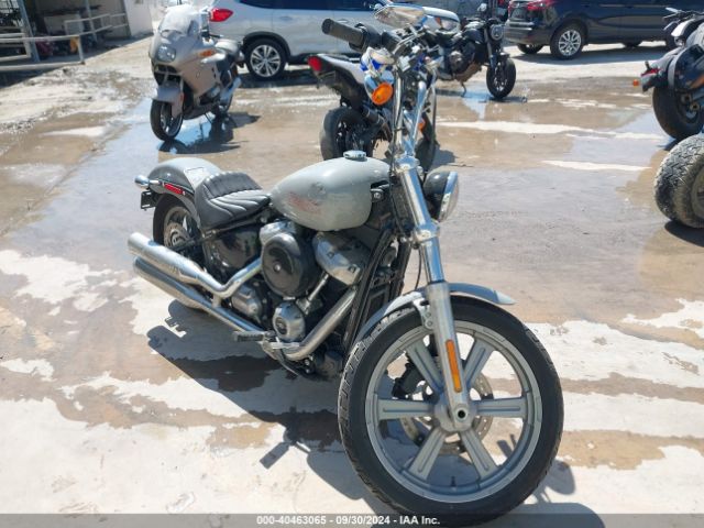 Harley Davidson FXST 2024