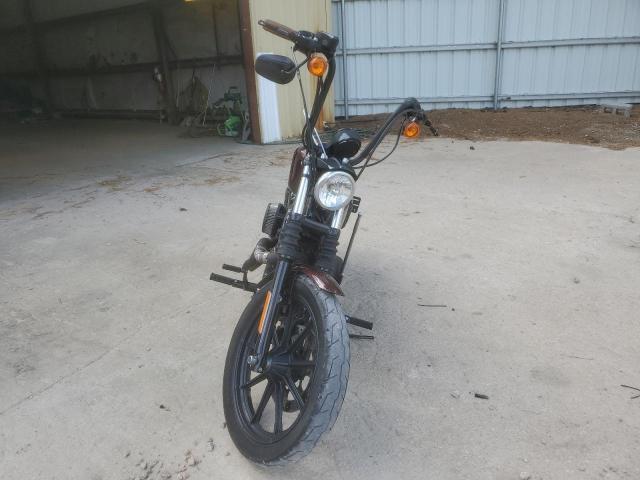 Harley Davidson XL1200 2019