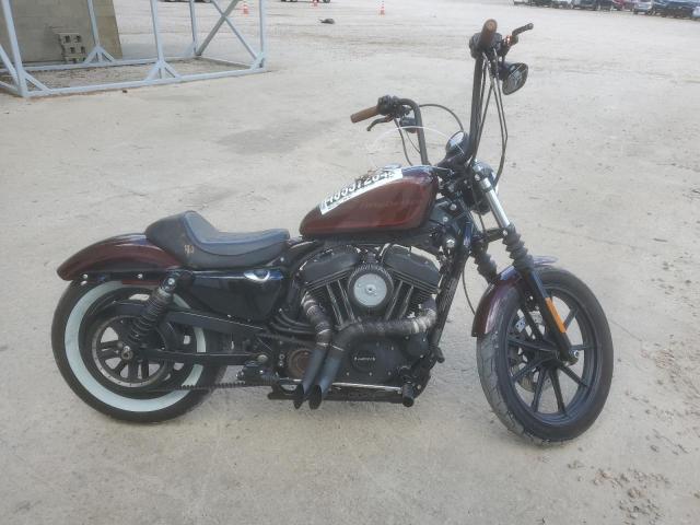 Harley Davidson XL1200 2019