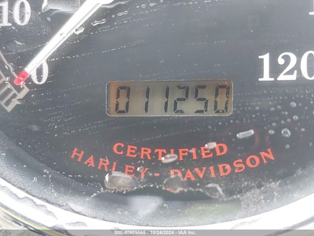 Harley Davidson FLSTFI 2003