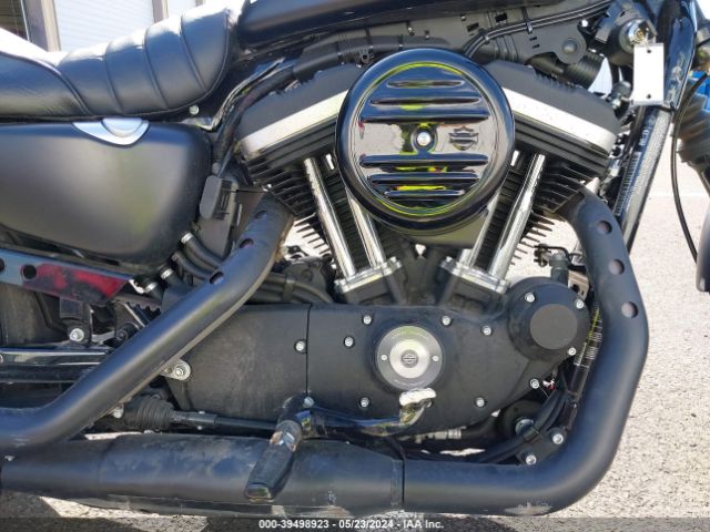 Harley Davidson XL883 2019