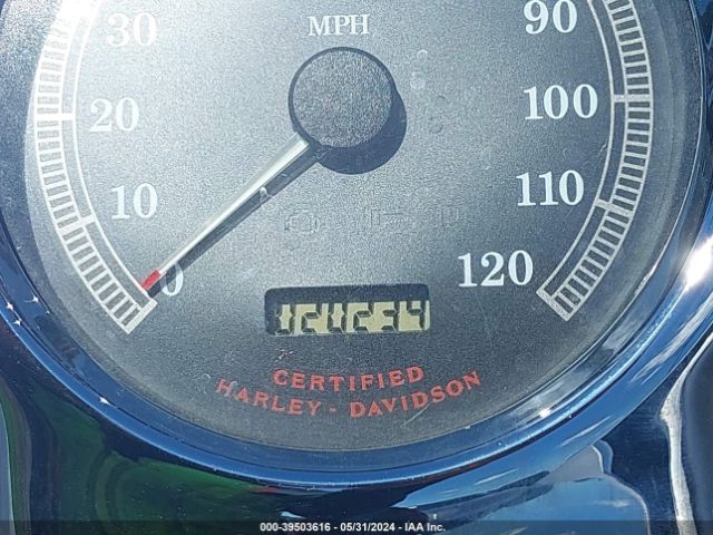 Harley Davidson FXSTD 2001