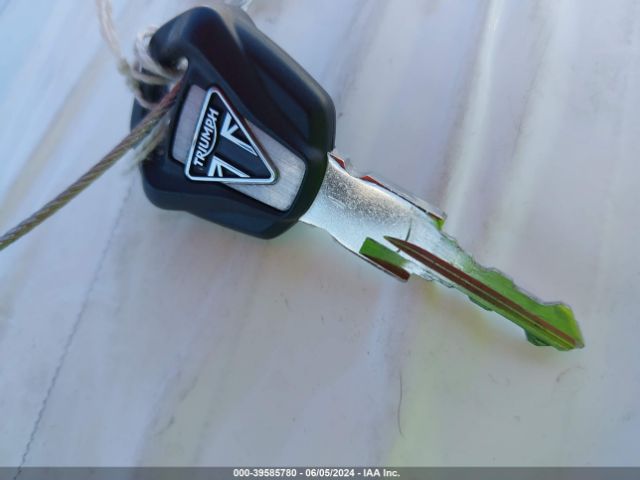 Triumph Tiger 900 2021